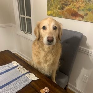 Meet your Posher, Megan